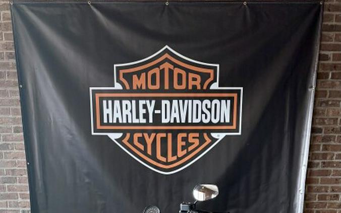 2021 Harley-Davidson Iron 883 Black Denim