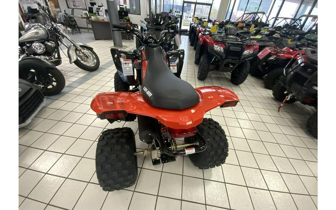 2024 Can-Am DS 250