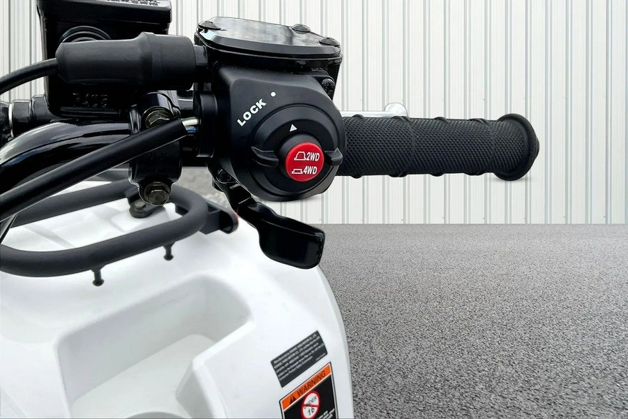 2025 Kawasaki Brute Force 450 4x4