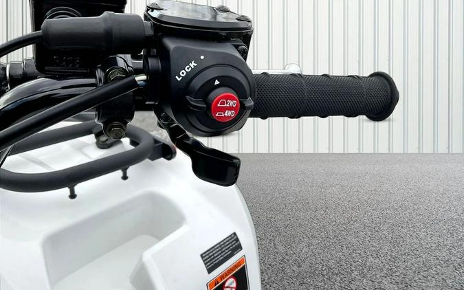 2025 Kawasaki Brute Force 450 4x4