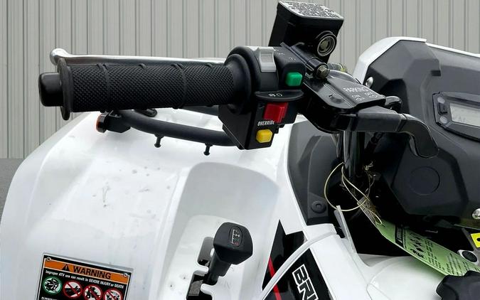 2025 Kawasaki Brute Force 450 4x4