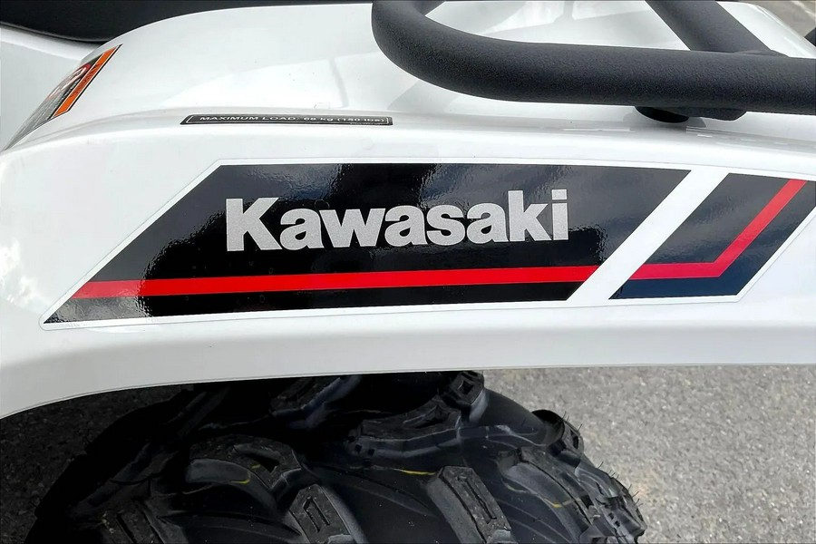 2025 Kawasaki Brute Force 450 4x4
