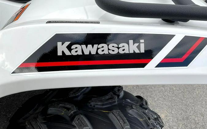 2025 Kawasaki Brute Force 450 4x4