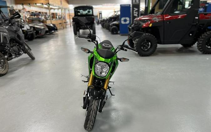 2024 Kawasaki Z125 PRO