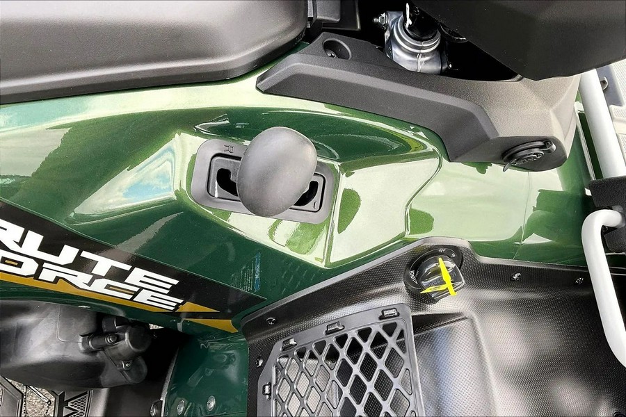 2026 Kawasaki Brute Force 750 SE EPS