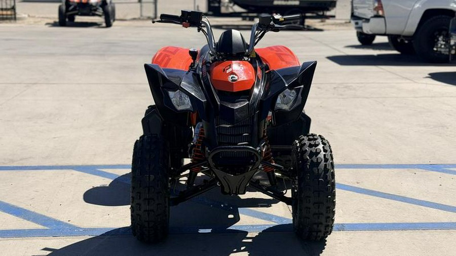 2025 Can-Am® DS 250