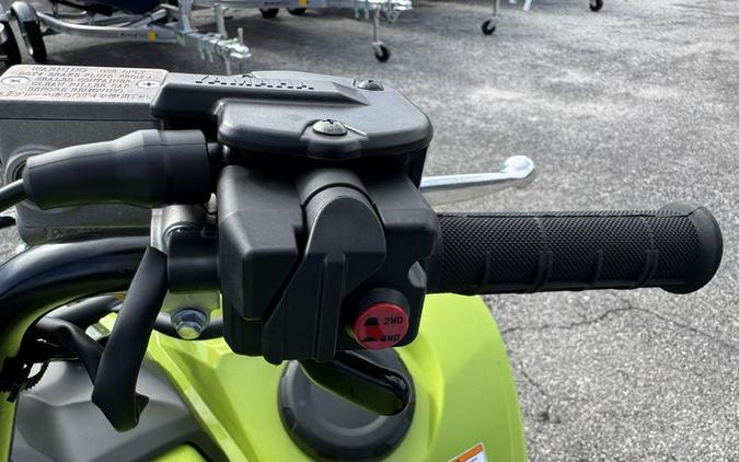 2026 Yamaha Grizzly EPS