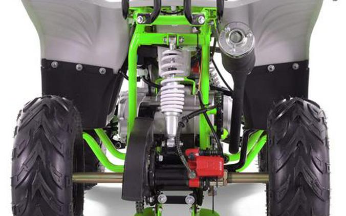2026 Tao Motor Boulder
