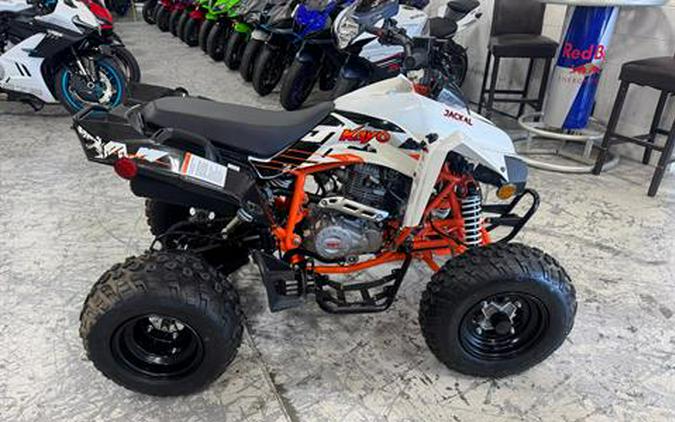 2021 Kayo Jackal 200