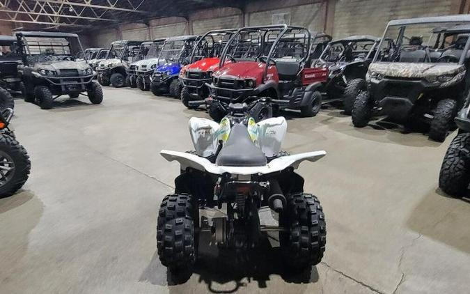 2022 Yamaha Raptor 90