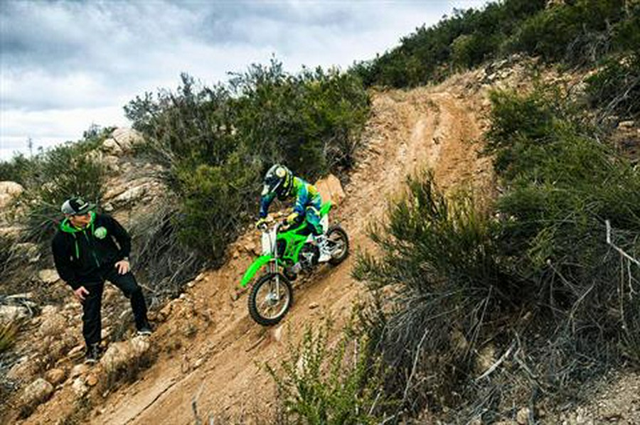 2020 Kawasaki KLX 110