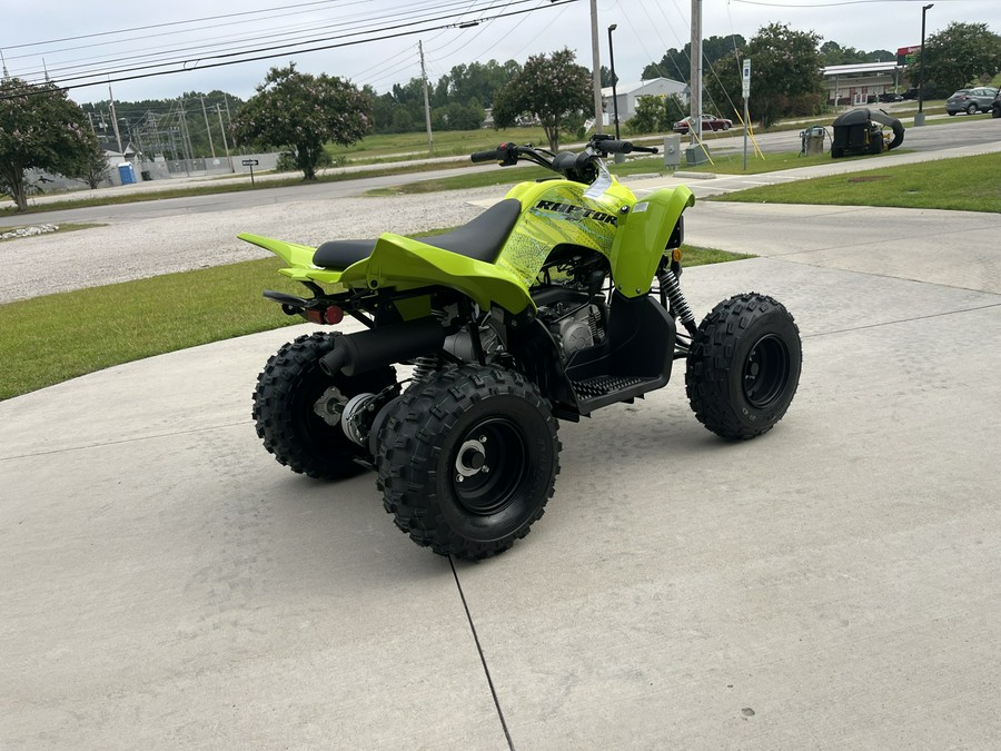 2026 YAMAHA RAPTOR 110 - T017928