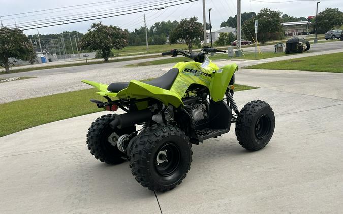 2026 YAMAHA RAPTOR 110 - T017928