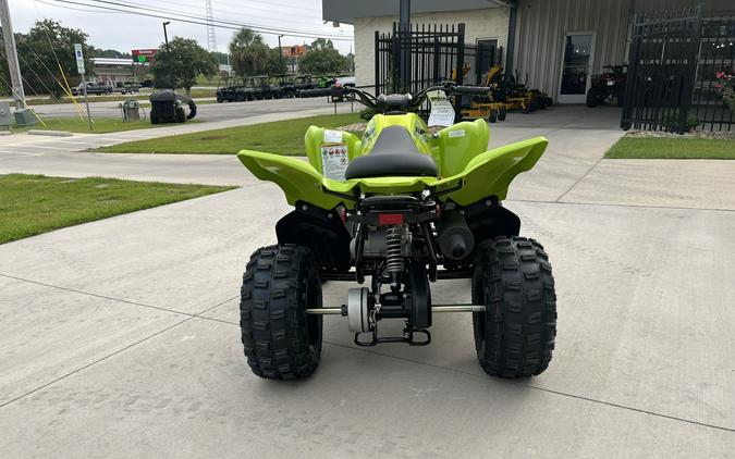 2026 YAMAHA RAPTOR 110 - T017928