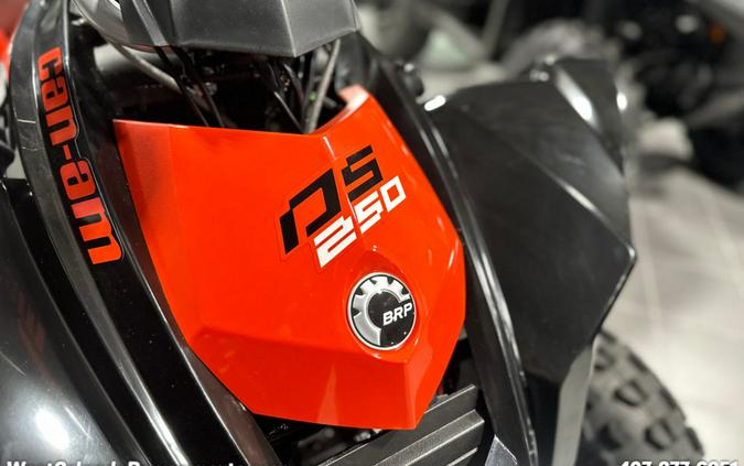 2024 Can-Am® DS 250