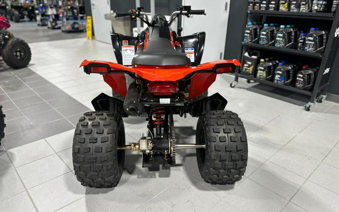 2024 Can-Am® DS 250