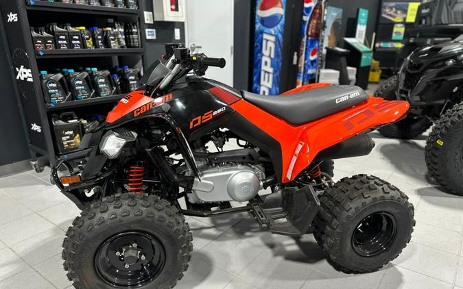 2024 Can-Am® DS 250