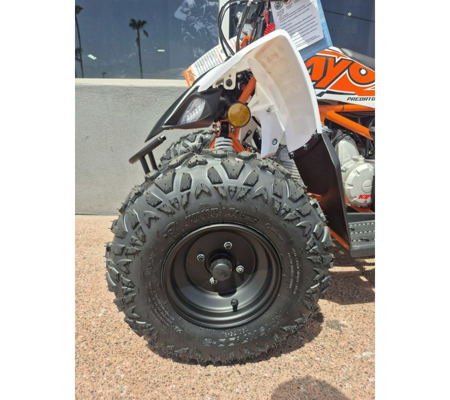 2025 Kayo 110 Predator