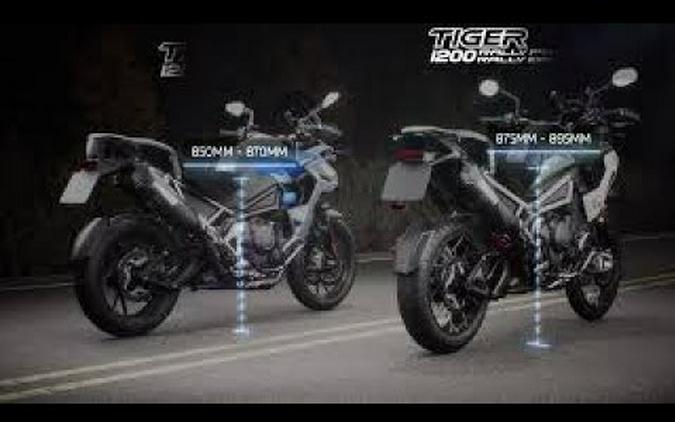 2025 Triumph Tiger 1200 GT Pro