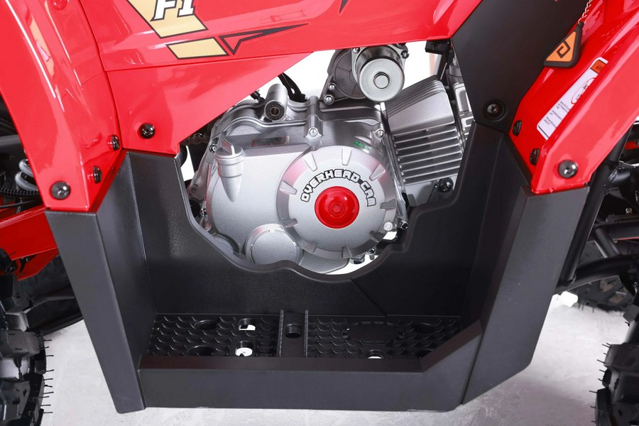 2026 Denago Powersports Mudhawk 10FI