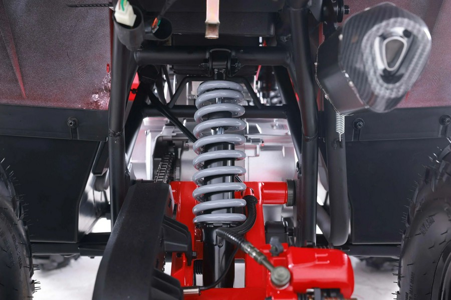2026 Denago Powersports Mudhawk 10FI