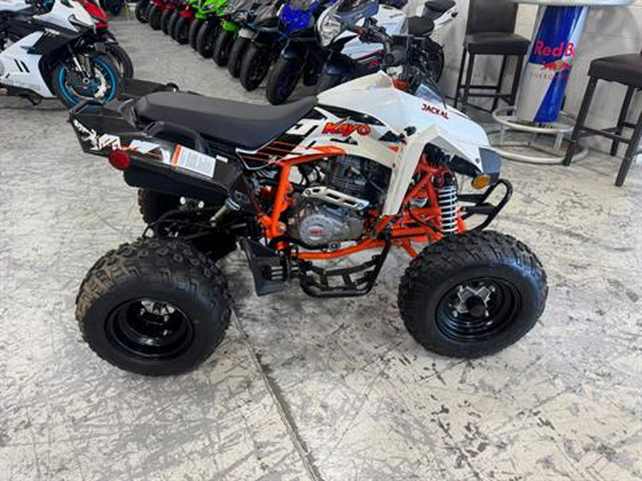 2021 Kayo Jackal 200
