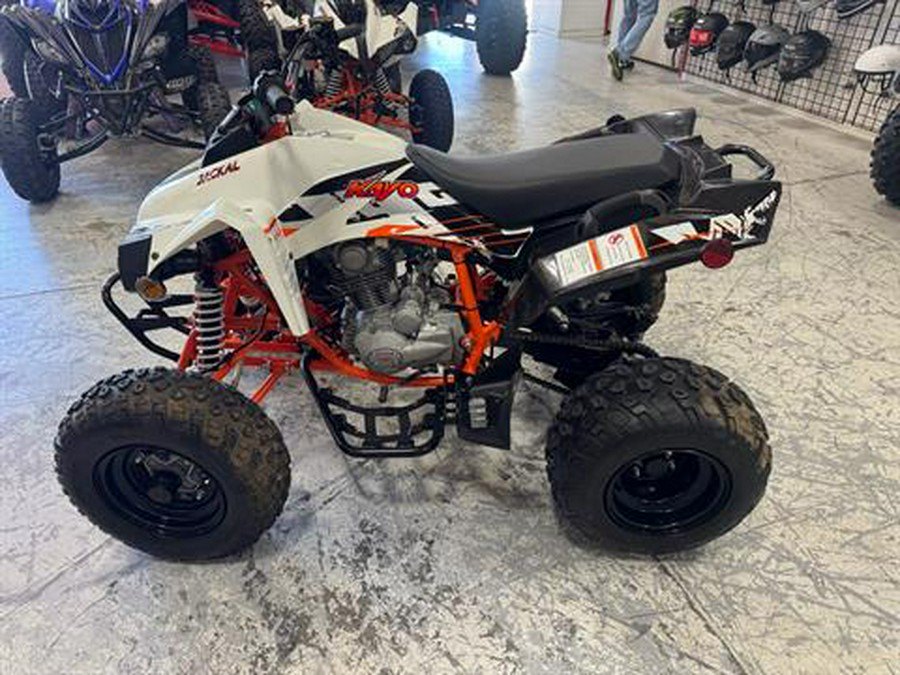 2021 Kayo Jackal 200