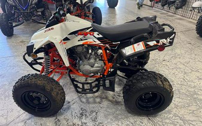 2021 Kayo Jackal 200