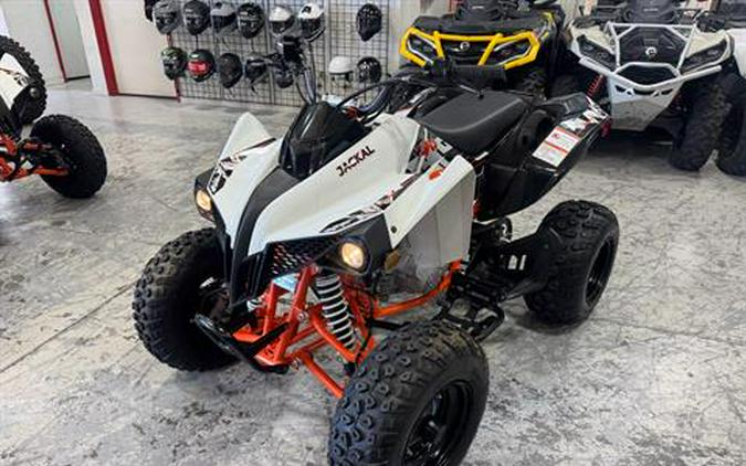 2021 Kayo Jackal 200