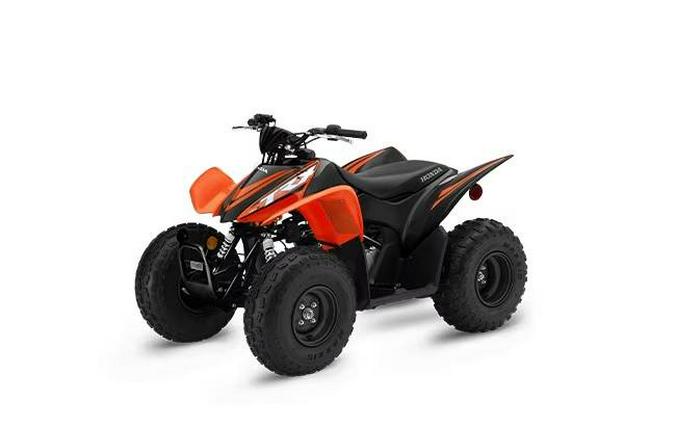 2024 Honda TRX® 90X