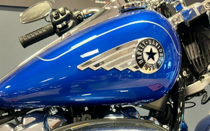 2025 Harley-Davidson Softail FLFB - Fat Boy