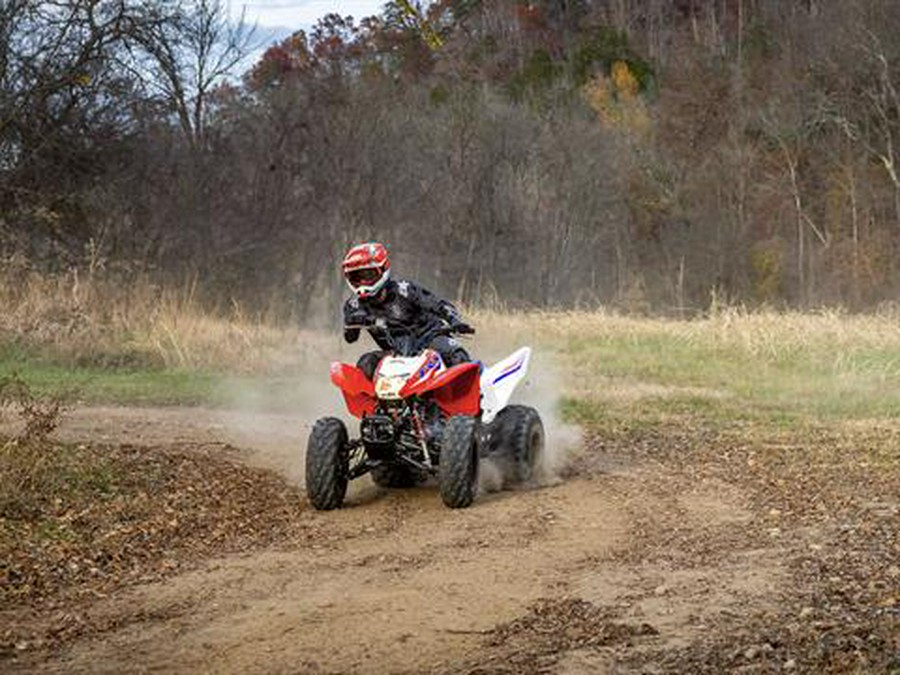 2025 Honda TRX250X