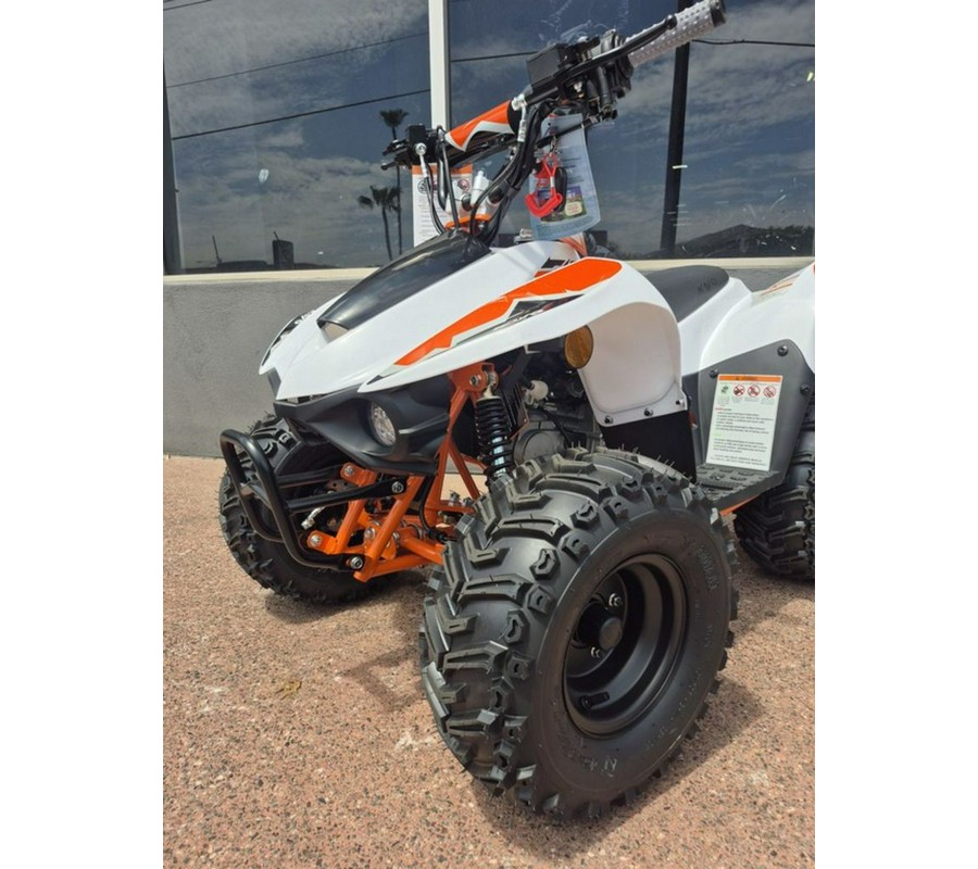 2025 Kayo Fox / Storm 70