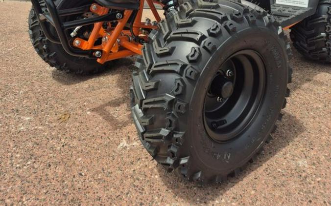 2025 Kayo Fox / Storm 70