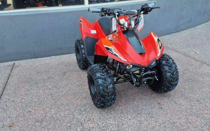 2025 Kayo Fox / Storm 70