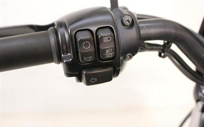 2022 Harley-Davidson Iron 883™