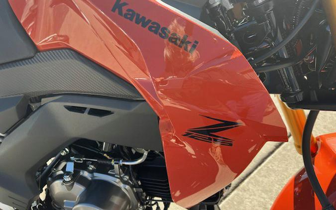 2025 Kawasaki Z125 PRO