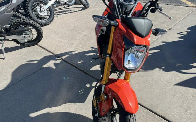 2025 Kawasaki Z125 PRO