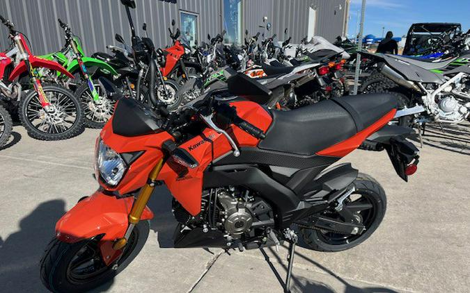 2025 Kawasaki Z125 PRO