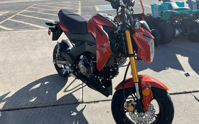 2025 Kawasaki Z125 PRO