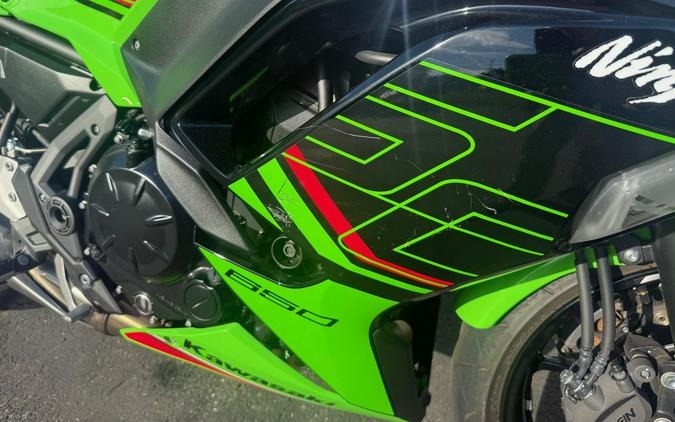 2024 Kawasaki Ninja 650