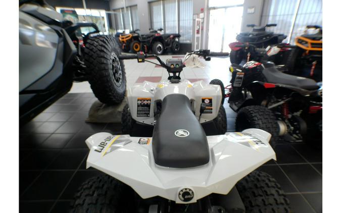 2026 RENEGADE 110 EFI - Can-Am
