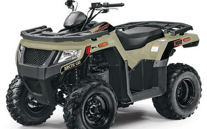 2024 Arctic Cat Alterra 300