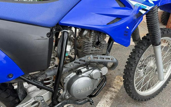 2025 Yamaha TT-R 230
