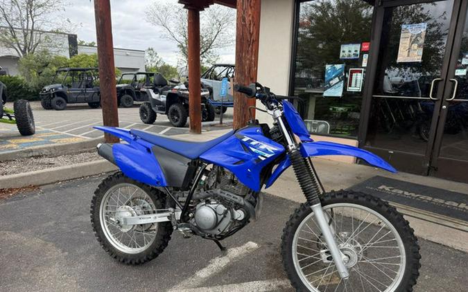 2025 Yamaha TT-R 230
