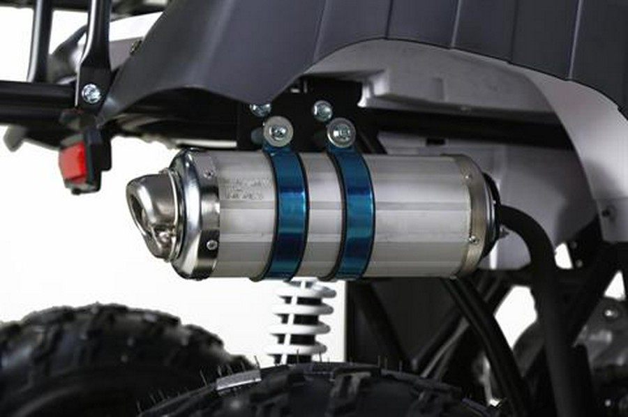 2026 Tao Motor Bull 200S