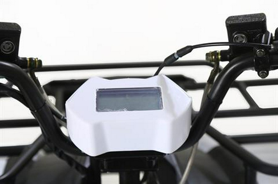 2026 Tao Motor Bull 200S