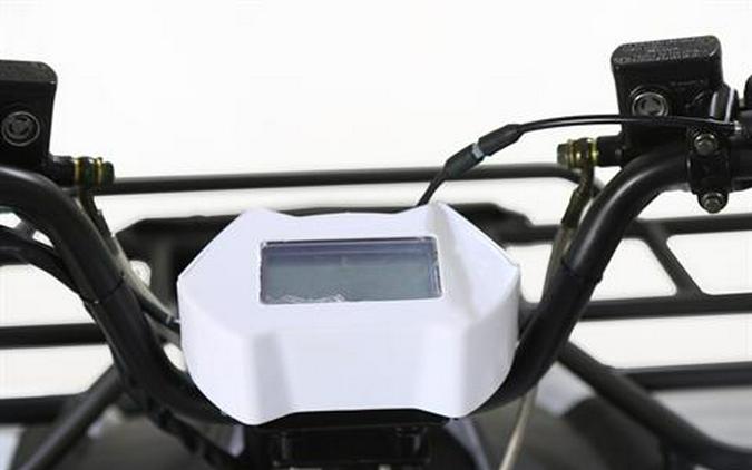 2026 Tao Motor Bull 200S