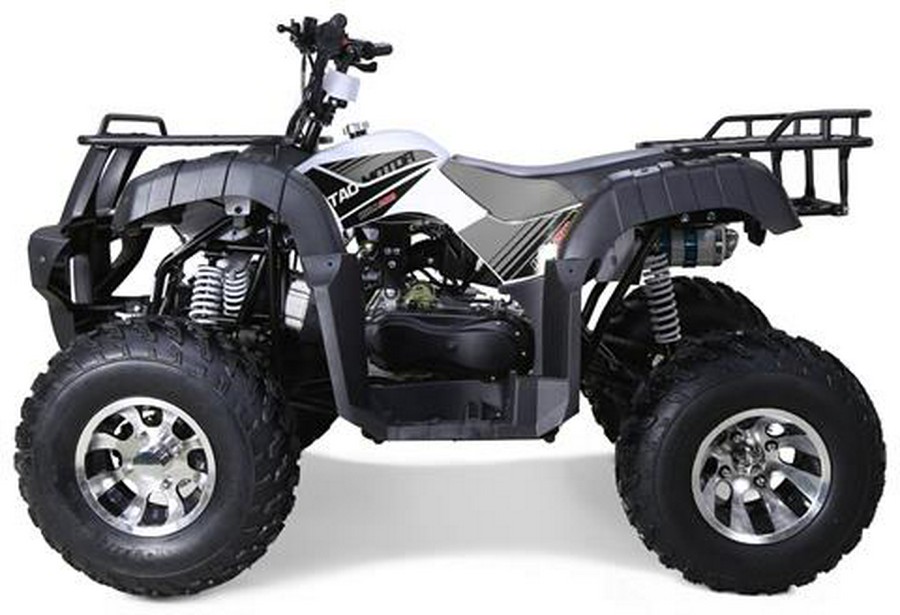 2026 Tao Motor Bull 200S