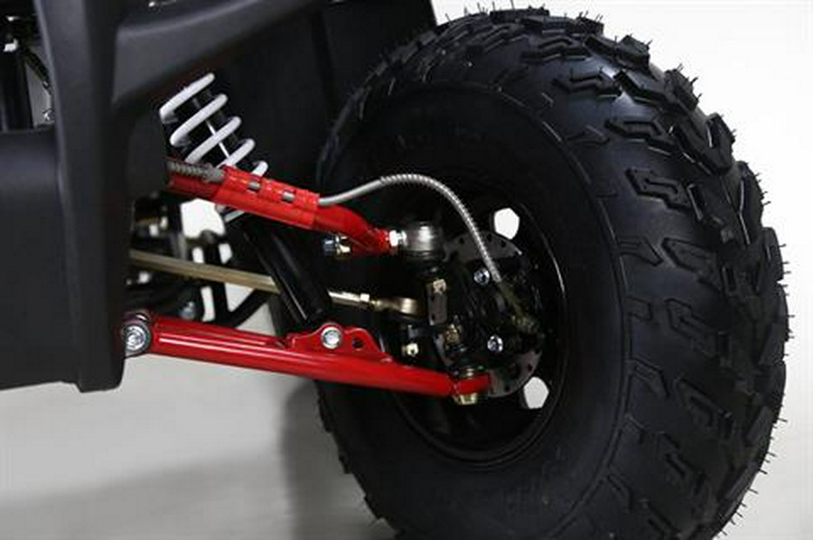 2026 Tao Motor Bull 200S
